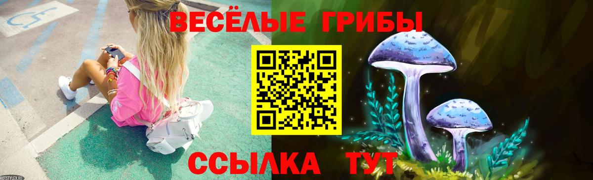 Галлюциногенные грибы Magic Shrooms Зеленодольск